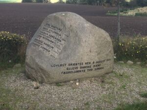 I et lille anlæg nær landsbyen Rorup på landevejen mellem Roskilde og Ringsted står en mindesten over de 11 modstandsfolk, der brutalt blev likvideret her natten til 9. august 1944. Foto: Mogens Bo Henriksen.