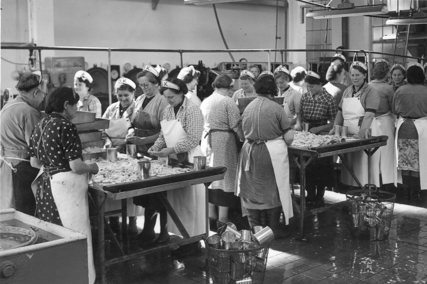 Odense Konservesfabrik. Kvindelige arbejdere i gang med at pakke asparges i 1965. // Museum Odense