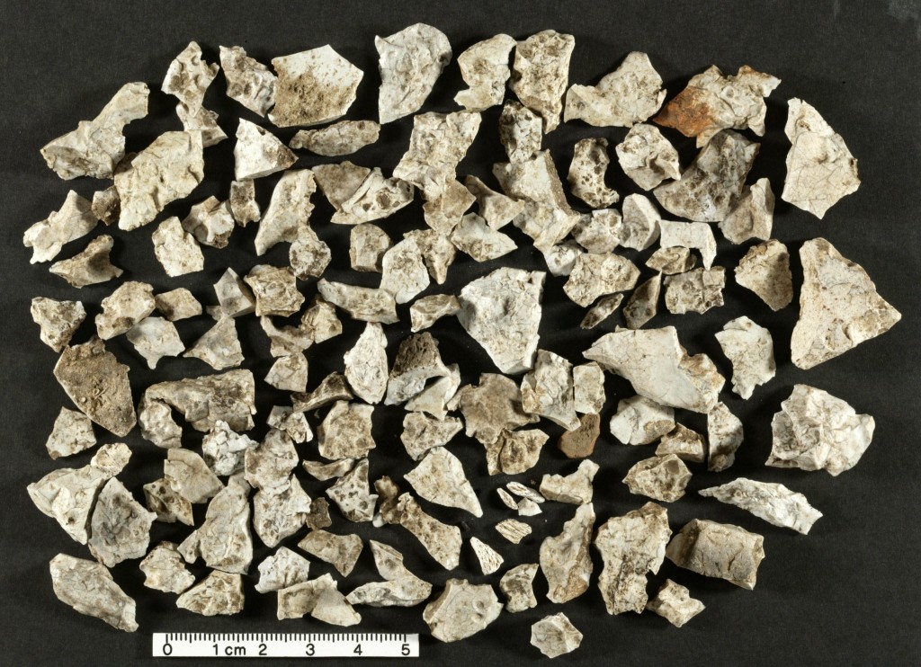 ildskornet flint