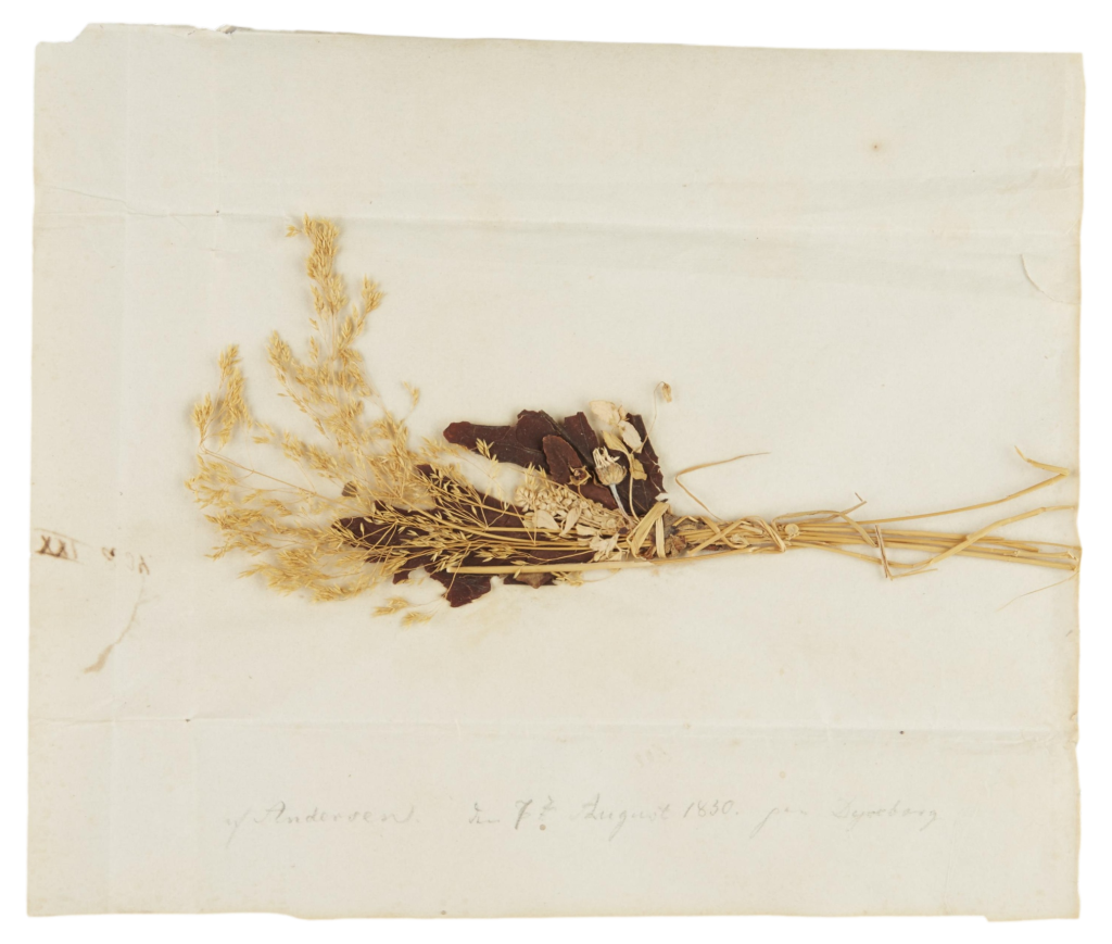 Blomsterbuket til Riborg Voigt, 7. august 1830