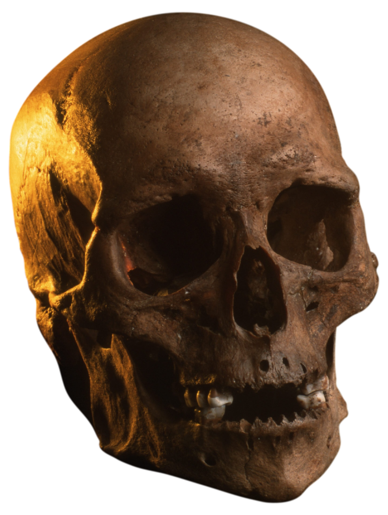 Koelbjerg-manden – det ældste skelet