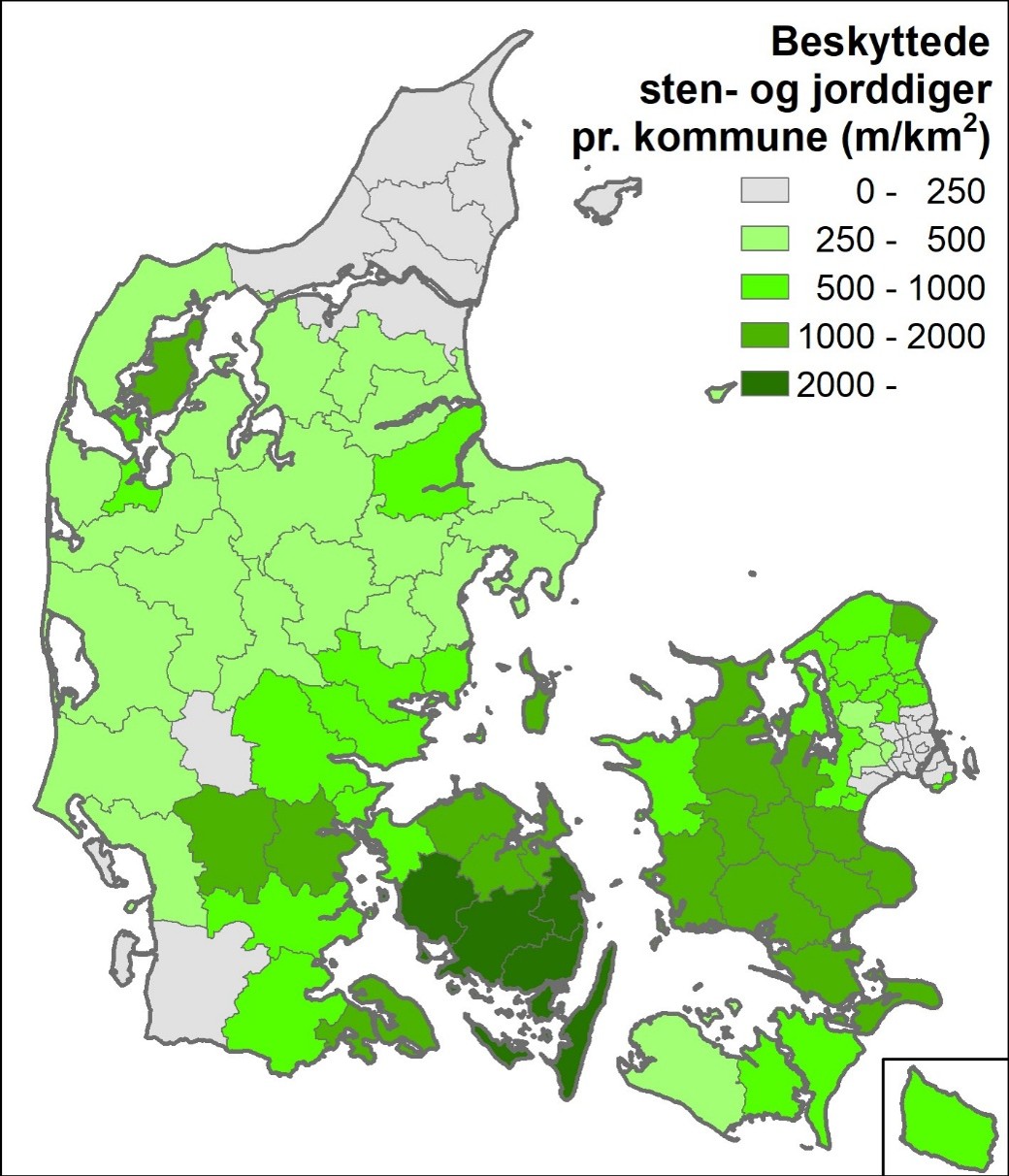 Koncentration af beskyttede sten- og jorddiger pr. kommune. Udregnet fra Slots- og Kulturstyrelsens database.
